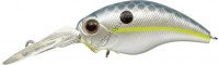 EVERGREEN Wildhunch #289 Queen Shad