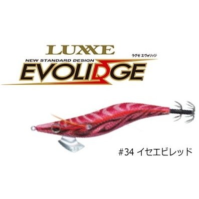 GAMAKATSU Evolidge Shallow 2.5 #34 lobster red