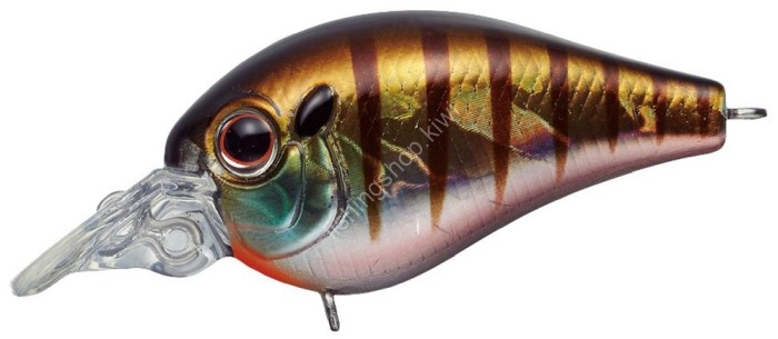 EVERGREEN Piccolo Dive Shallow #50 Baby Gill