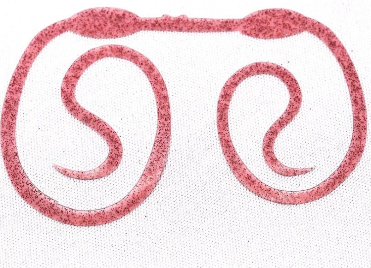 SASA LABO CSC-03 Cobra Slim Curly #03 Ami Ebi Pink