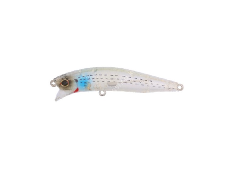 DAIWA Morethan Crosswake 75F-SSR #Clear Adele Keimura Boracono