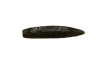 OTHER BRANDS GALAPAGOS Okura Stick 2''8 #01 Green Pumpkin