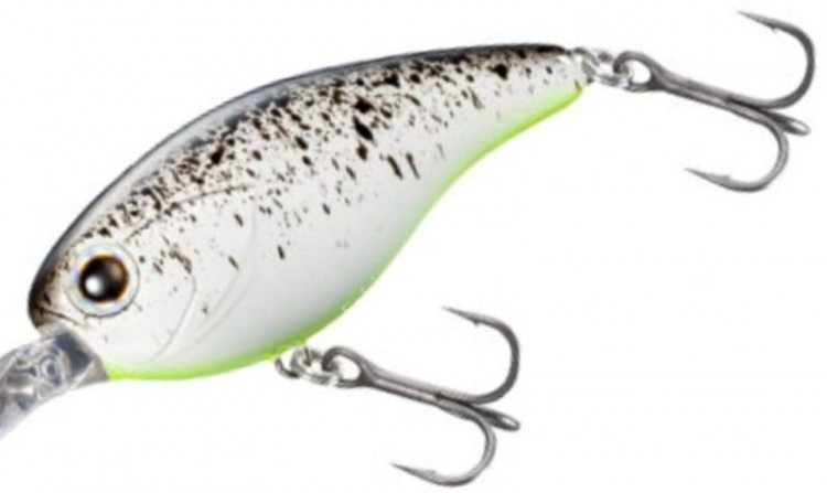 SHIMANO ZP-205R Bantam KoZaK SR #004 White Splatter