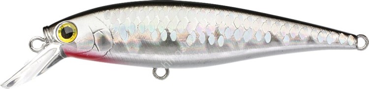 LUCKY CRAFT Pointer 78SP #MS Anchovy