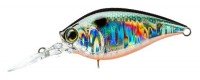 DUEL Hardcore Crank MR 60F #06 GT Holo Tennessee Shad
