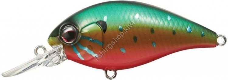 EVERGREEN Combat Crank 180 # 214 Pankin Seed