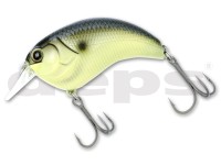 DEPS Evoke 1.2 #24 Black Back Mustard