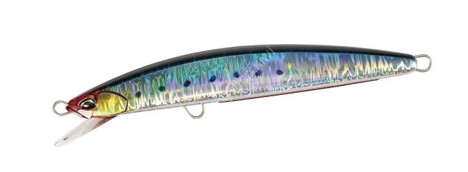 DUO Rough Trail Blue Drive 195S CPB0054 Genkai Sardine