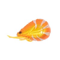 GEECRACK Ebidama 100g #001 Orange Gold Ebi
