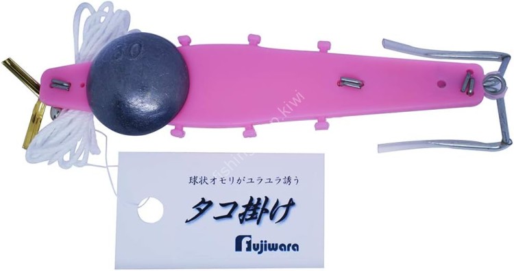 FUJIWARA Tako Gake #30