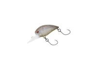 DAIWA Presso Wabkura 30MR #Splash Olive Pearl