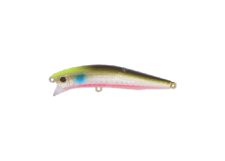 DAIWA Morethan Crosswake 75F-SSR #Chart Head Inakko