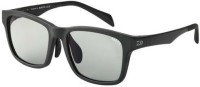 DAIWA TLX 027 TALEX Polarized Glasses [True View]