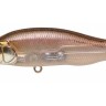 MEGABASS X-80 Trick Darter #M End Max
