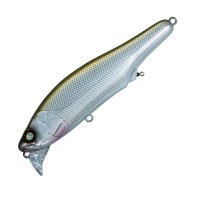 WHIPLASH FACTORY Wake The Dead 125F #W20MMG Natural Thing Trans Back