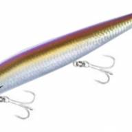 SHIMANO Exsence Silent Assassin - Pleamar Tienda de Pesca