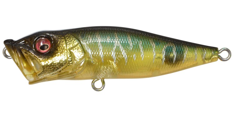 MEGABASS Popx 64F 7.1g #Gin Tonic Tiger