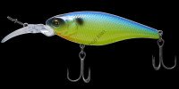 FLASH UNION Speed Killer F 016 Blue Bach Chart