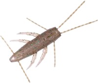 DAIWA Steez Bramo 2.4'' Striped Ebi Green Flakes (5pcs)