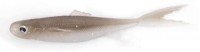 SIGNAL Multi Shad 4" PVC #Purple Wakasagi