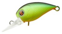 DAIWA Presso WabCra Jr. 25DR-F #Hot Chart