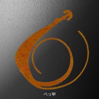 MATSUOKA SPECIAL Next Mugen W 120mm #Tortoise Shell