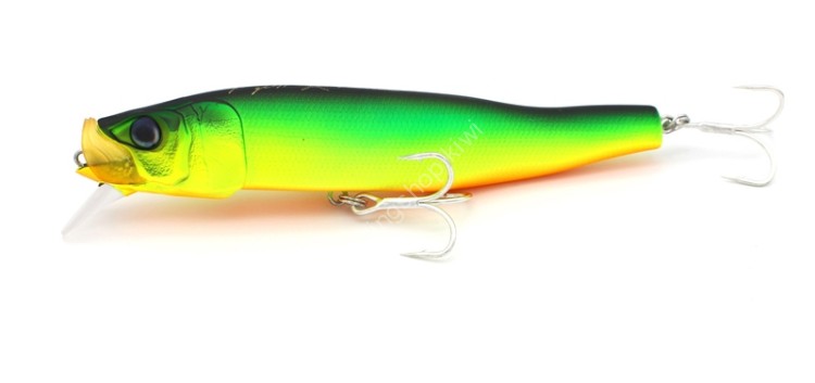 LITTLE JACK  Forma Gloss-125 #07 Matt Chart