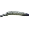 DAYSPROUT Eagle Player 50Slim/GJ #SM-01 Warusa Reishiki