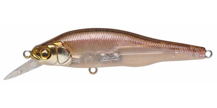 MEGABASS X-80 Trick Darter #Stealth Wakasagi