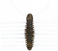 IMAKATSU Pellet Bug 2 #S-259 Swamp Ebi Shrimp Blue Flake