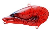 ISSEI G.C. Zari Vib Jr.57 #31 Red Blue