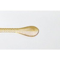 ISSEI Umitaro Spatula 1.5 #041 Ikanagoglow