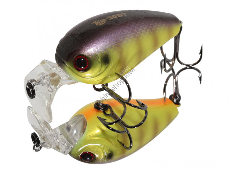 HIDE UP HU-30BT 31 Flashy Gill
