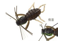 IMAKATSU Baby Super Spider (Feco) #S-138 HV Dark Green Pumpkin Pepper
