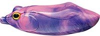 WHIPLASH FACTORY D.O.G #PU / PI Purple / Pink (Tequila)