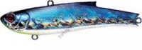 Bassday Range Vibe 90ES CH109CH Anchovy