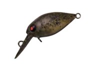 RODIO CRAFT Fat Moca Jr. SR (SS) #38 Focus Olive