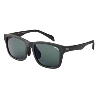DAIWA TLX 027 TALEX Polarized Glasses [True View Focus]