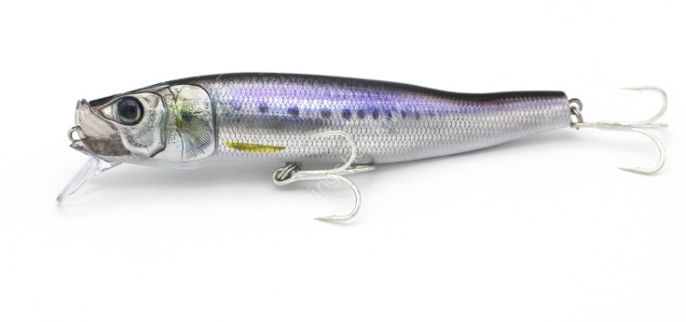 LITTLE JACK  Forma Gloss-125 #08 Stream Iwashi