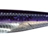FISH ARROW Flash-J Split 7SW#143 Keimura D Purple / S