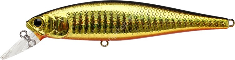 LUCKY CRAFT Pointer 100SP #BGR Black & Gold & Red