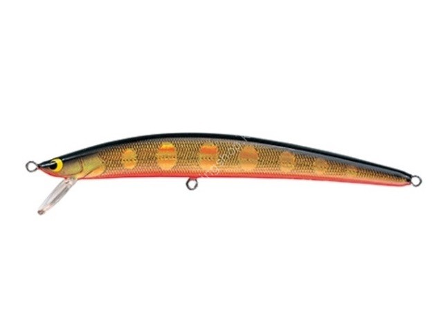 TACKLE HOUSE Twinkle Factory TWS104 #F-5 Gold/Black/Orange Belly