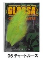 SMITH Glossa Tail # 06