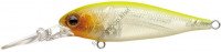 EVERGREEN Bank Shad MID # 59 Skeleton Chart