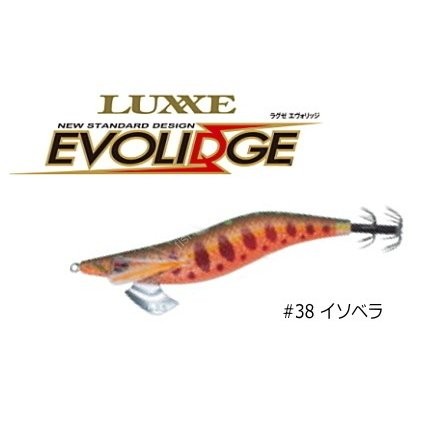 GAMAKATSU Evolidge Shallow 2.5 #38 Isobera