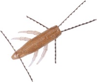 DAIWA Steez Bramo 2.4'' Hasitaku Confidence (5pcs)