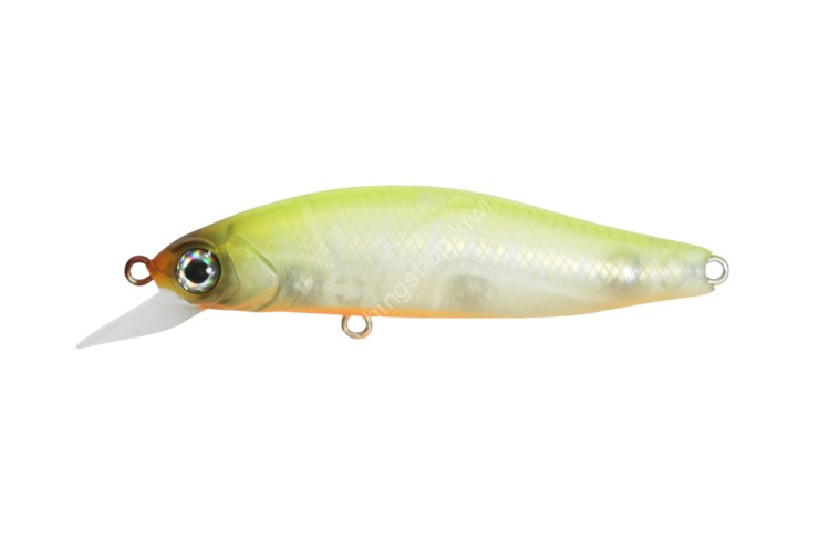 ISSEI G.C. Minnow 55SR-F #57 Chart Oikawa