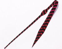 SASA LABO TP-01 Trad・Pintail #01 Red Zebra