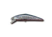 SMITH D-Contact 110 #49 Katakuchi Shell