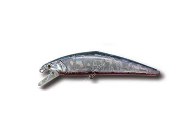 SMITH D-Contact 110 #49 Katakuchi Shell